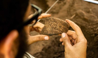 Pesquisadores do Instituto Mamirauá descobrem complexo arqueológico riquíssimo em Tefé!
