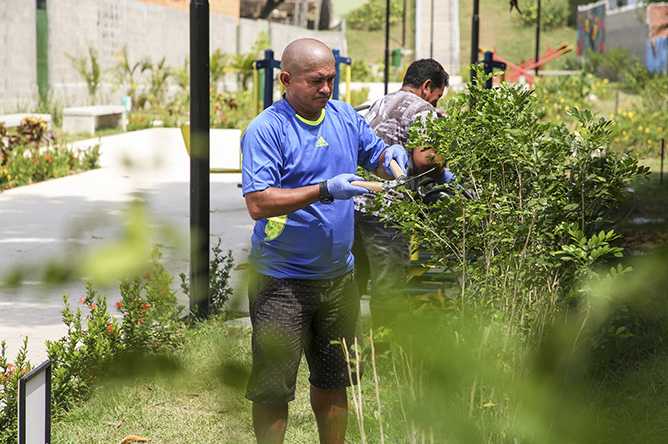 Prosamim lança programa “Amigo Verde” para manutenção dos parques revitalizados na capital / Foto : Tiago Corrêa/SRMM-UGPE