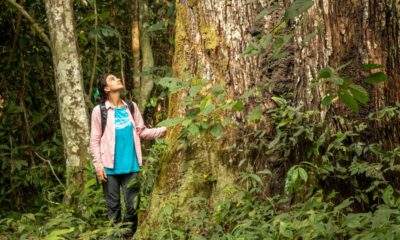 Pesquisadores do Instituto Mamirauá estudam influência humana na paisagem da Floresta Amazônica