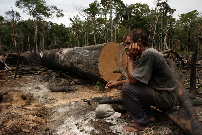 Desmatamento em Lábrea, no Sul do Amazonas / Foto : Alberto Araújo / Amazônia Real