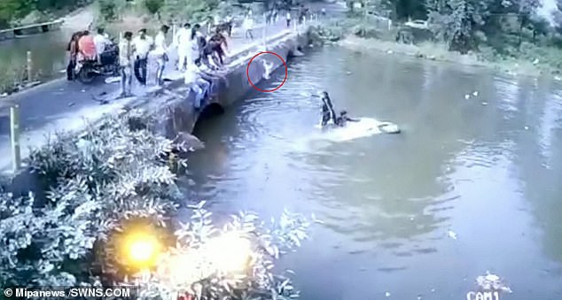 Motorista na Índia joga criança na ponte para salvá-lo de afundar carro