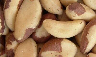 Conheça 4 benefícios da Castanha para a saúde