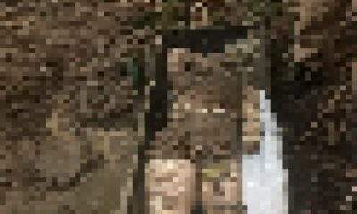 Corpo de Alice é encontrado e chama atenção pelo estado de conservação