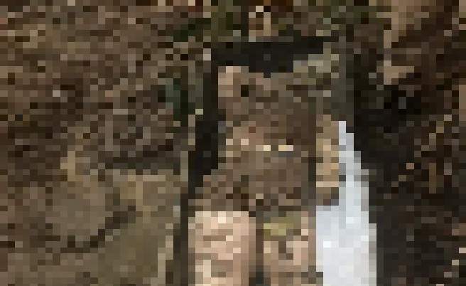 Corpo de Alice é encontrado e chama atenção pelo estado de conservação