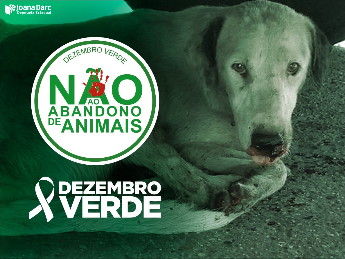 Dezembro Verde alerta sobre o abandono de animais no Amazonas