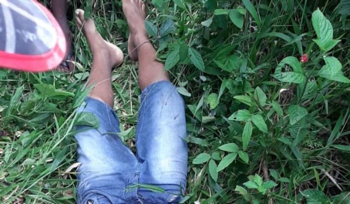 Menino de 13 anos morre após invadir casa para colher rambutã no Amazonas