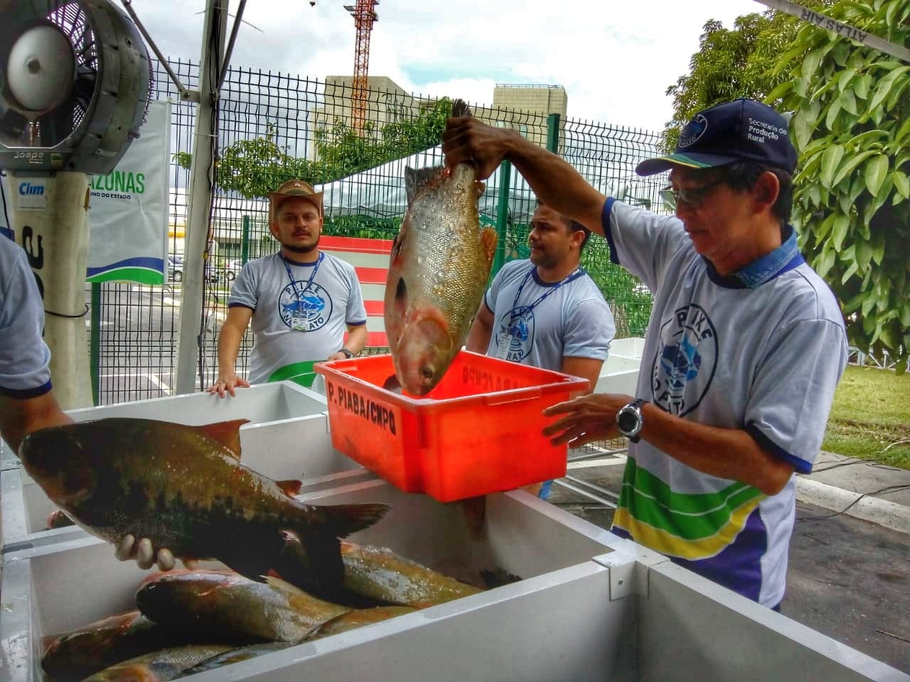 Oitava edição do programa ‘Peixe no Prato’ vai atender moradores do Puraquequara
