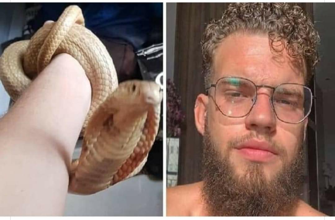 Pedro Henrique Santos Krambeck Lehmkul, de 22 anos, foi picado por uma cobra da espécie Naja, no DF — Foto: Arquivo pessoal