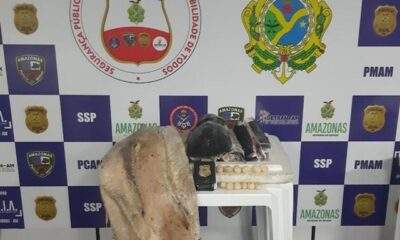Ovos de tracajá e um pirarucu dão multa de R$ 75 mil no Amazonas