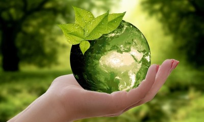 Qual a importância da Sustentabilidade para a Economia?