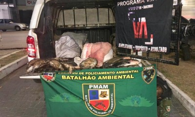 Batalhão Ambiental e CIPCães apreendem quelônios na orla de Manaus