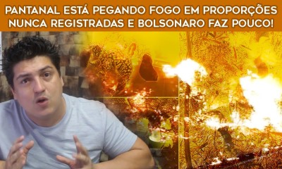 Pantanal está pegando fogo em proporções nunca registradas! Uma verdadeira tragédia pro Brasil e o mundo!
