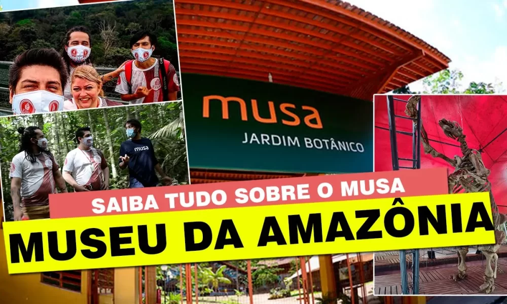 Saiba tudo sobre o MUSA - Museu da Amazônia