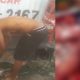 Vídeo mostra momento em que jovem arranca as tripas de vítima no Jorge Teixeira; cenas fortes