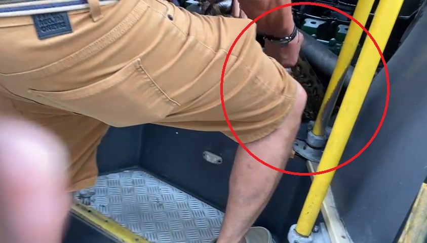 Cobra é retirada de dentro de ônibus em Manaus; Veja o vídeo!
