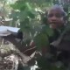 Vídeo : Pastor se camufla, pega uma bíblia e sai pro matagal em busca do seria killer Lázaro Barbosa!