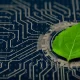 Pesquisa feita em 8 países revela a busca das empresas por operações de TI verde