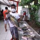 Tambaqui a preço de banana!: Feira organizada pela FAS vende o peixe a partir de 8 reais o quilo