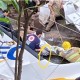 Cenas F0RTES: Imagens mostram o resgate do corpo de Marília Mendonça após queda de avião