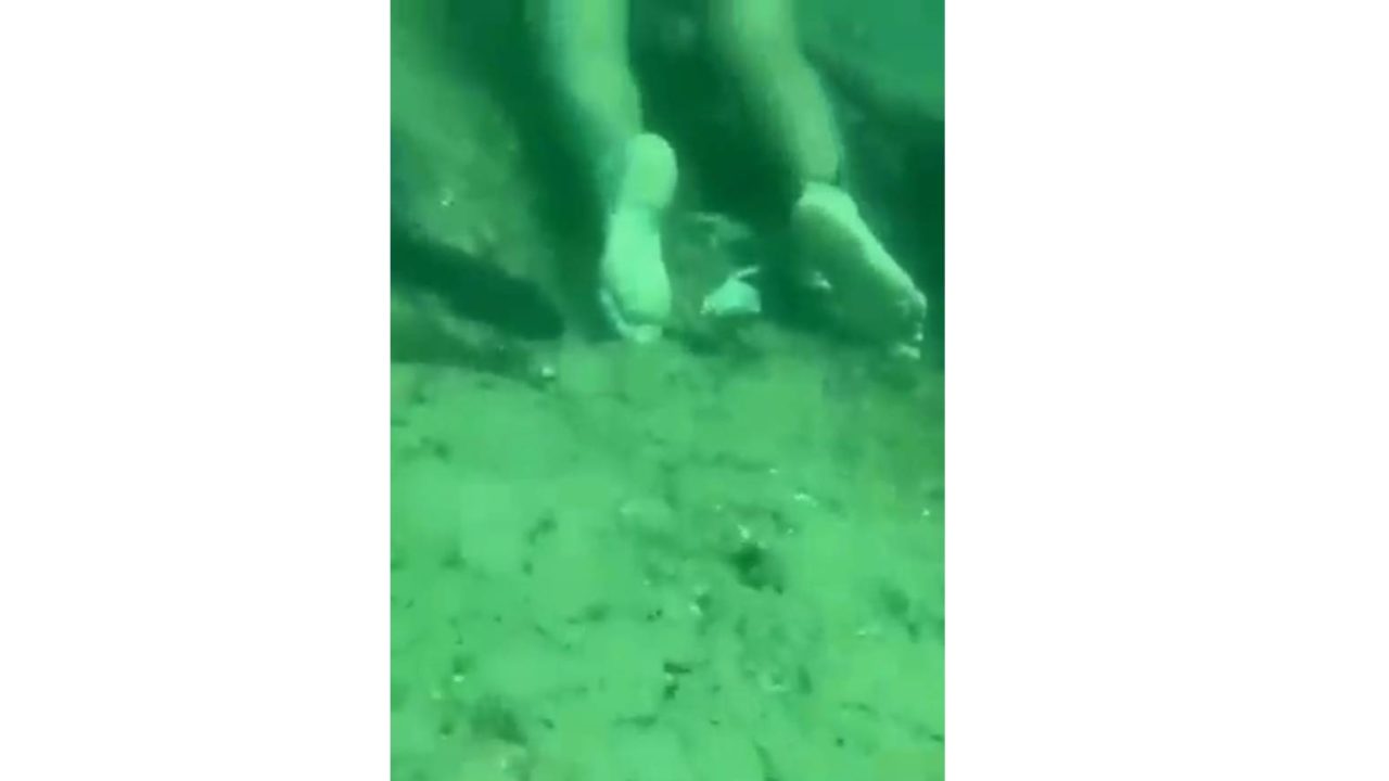 Vídeo: Mergulhador encontra corpo com pedras amarradas no fundo do canal
