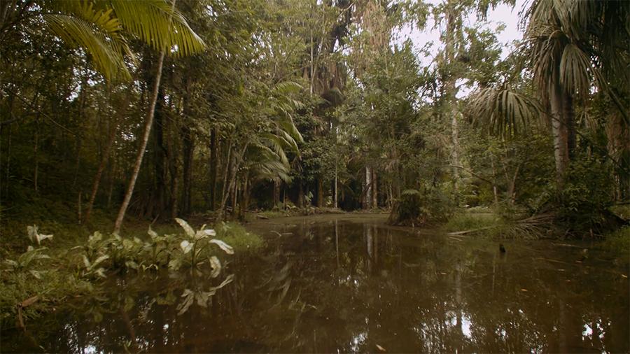 Fórum promove ato simbólico pelo Dia Mundial da Água em homenagem a um dos principais igarapés de Manaus