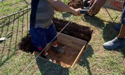 Caixa com restos mortais de sapo encontrada por trabalhadores em São Januário, saiba tudo