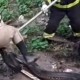 Vídeo mostra a captura de uma sucuri com cerca de 4 metros no Amazonas!