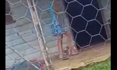 Vídeo flagra mulher chutando filhote de cachorro em Presidente de Figueiredo
