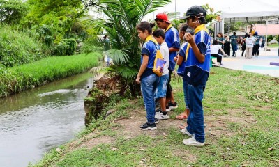 ‘Junho Verde’: Prefeitura de Manaus promove ações de sensibilização e conscientização ambiental