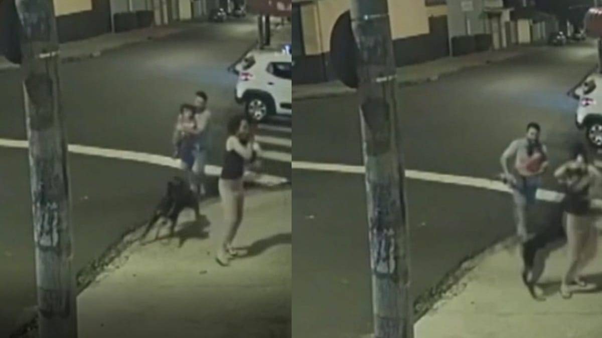 Vídeo: Cão pula de carro em movimento e ataca casal que passeava com filho de 3 anos e doguinho