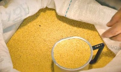 ‘Capacita Envira’ levará conhecimento a produtores para fortalecer mercado da farinha