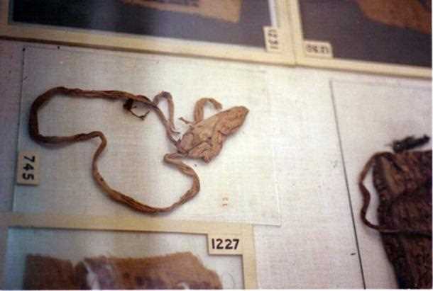 Preservativo de Tutancâmon, identificado por meio de resíduo de DNA. ( Imagem: gallivantrix.com )