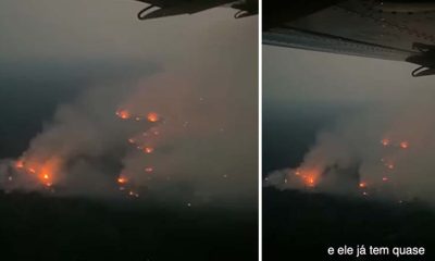 Vídeo : Novas queimadas na Amazônia deixam cidades em alerta após fumaça chegar em Manaus e tudo virar cinza!