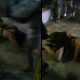 Vídeo : Em Itacoatiara mulher dá sarrada no chão e viraliza nas redes sociais