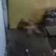 Mãe espanca filho de 4 anos é grava vídeo dele agonizando, atenç@o imagens f0rtíss1mas