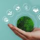 ESG: para reduzir as emissões de carbono é preciso engajamento