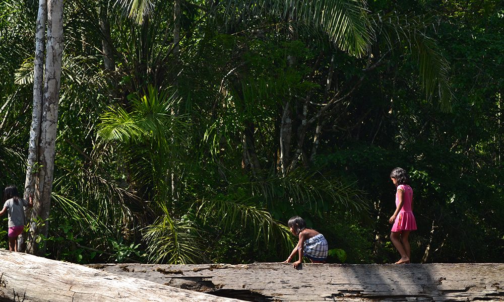 Comunidade Cacoal : Foto : Martha Fellows / IPAM