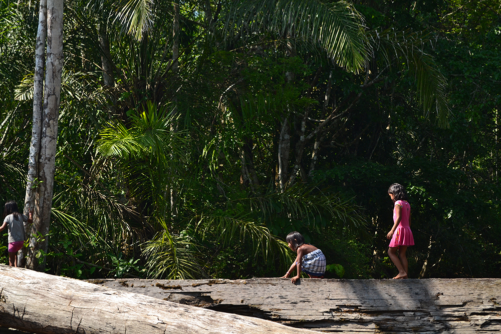 Comunidade Cacoal : Foto : Martha Fellows / IPAM