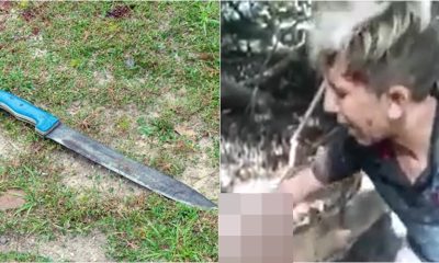 Vídeo +18: Sem dó nem piedade, bandidos arrancam dedo de menina com facão!