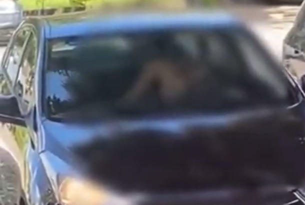 Vídeo +18 : Morena é flagrada rebolando em estacionamento universitário de dia / Foto: Reprodução