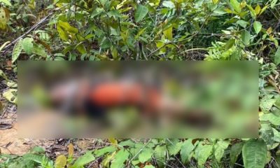Mulher é encontrada morta em área de mata em Manaus