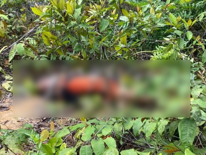 Mulher é encontrada morta em área de mata em Manaus