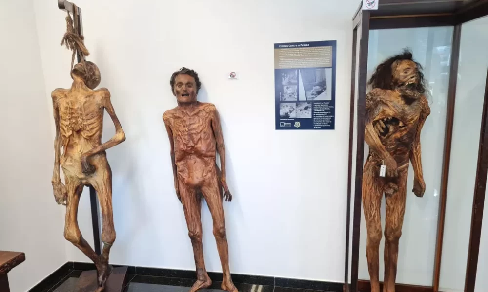 Uma das exposições que mais chamam a atenção do museu é o corpo mumificado do serial killer, conhecido como "Paraibinha" (o terceiro corpo) — Foto: Giuliano Gomes/PR Press