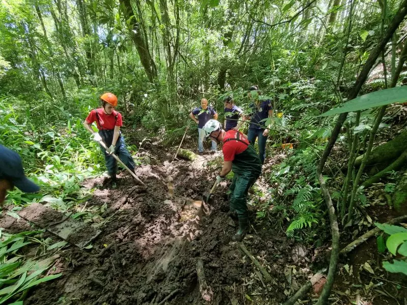 Local onde foi encontrado o corpo de Neusa – Foto: Polícia Científica/Divulgação/ND 