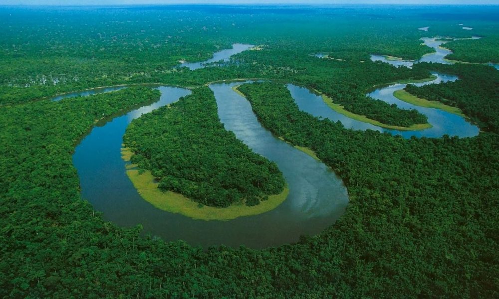 Rio Juruá, Afluente do Rio Amazonas