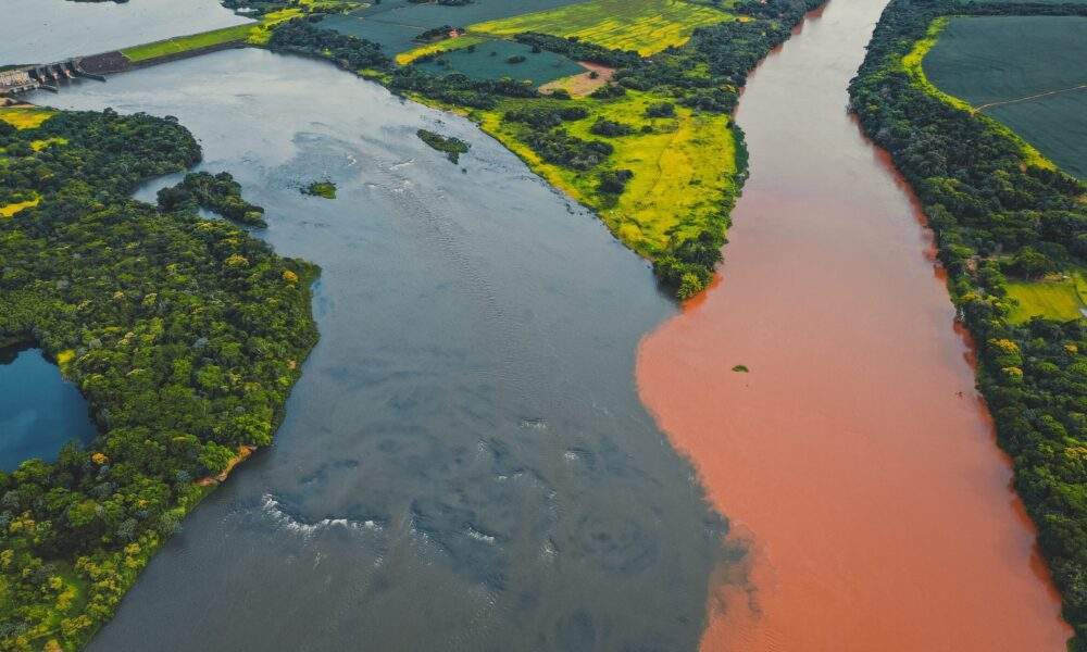 Conheça as principais curiosidades amazônicas! - No Amazonas é Assim