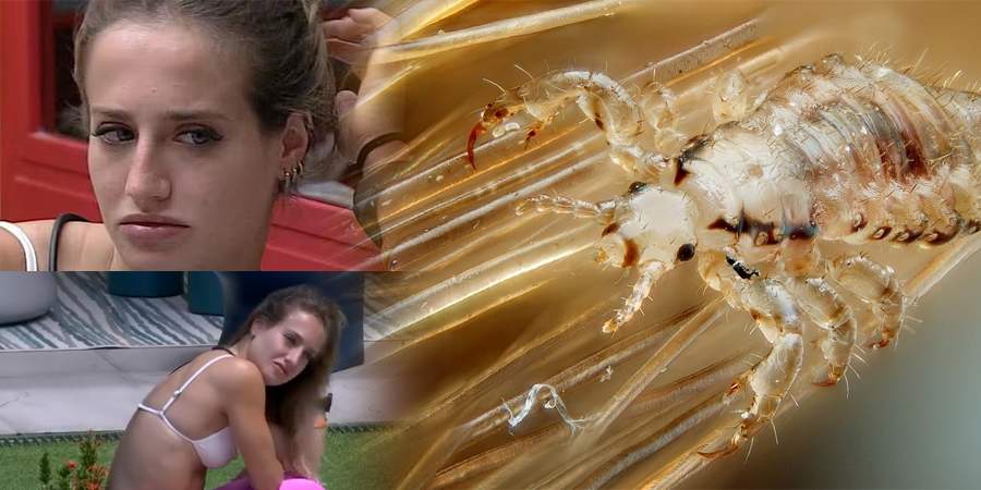 Vídeo : A atriz Bruna Griphao, do BBB23, pode estar até o tucupi de piolho!