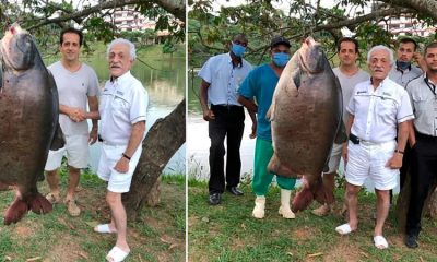 Confira os 5 maiores tambaquis já pescados no Brasil!