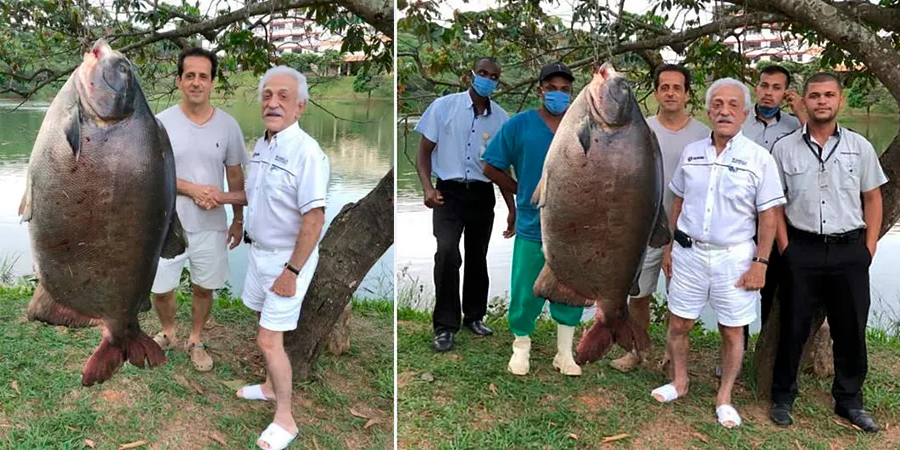 Confira os 5 maiores tambaquis já pescados no Brasil!