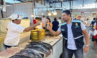 Feira da Manaus Moderna intensifica vendas de peixes na Quaresma / Foto - Gildo Smith / Semacc